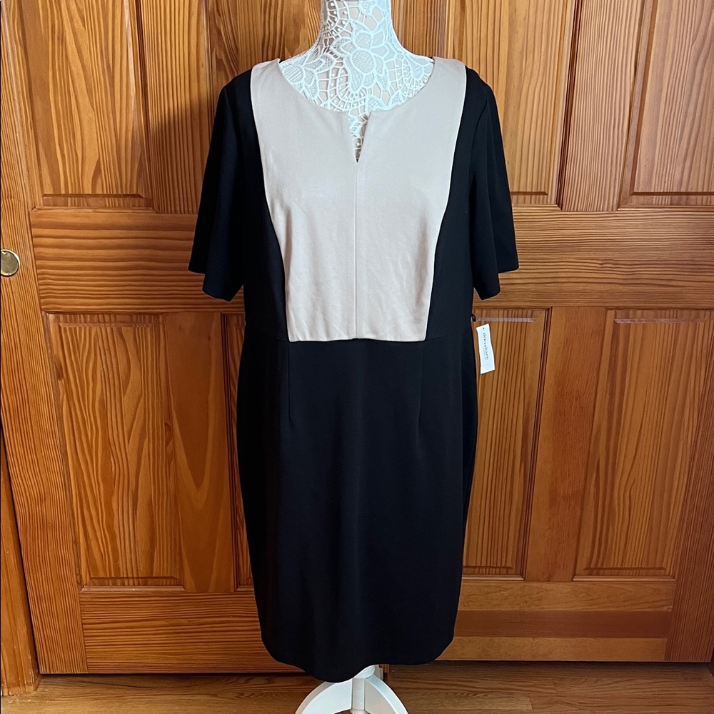 NWT Dress Barn Woman Colorblock Dress